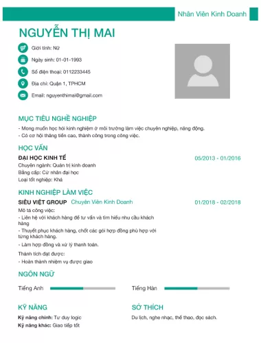 Mẫu CV/Hồ Sơ 9